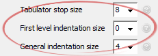 First level indentation size